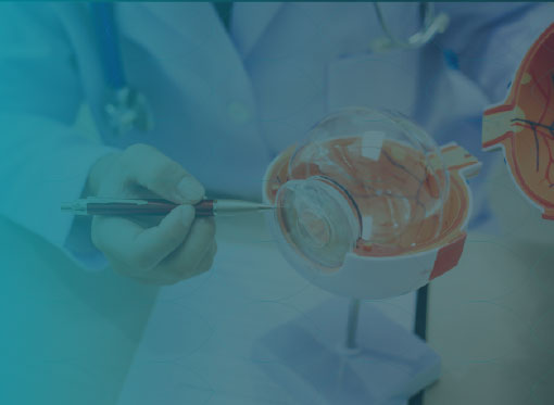 Leia mais sobre o artigo Cirurgias de Catarata